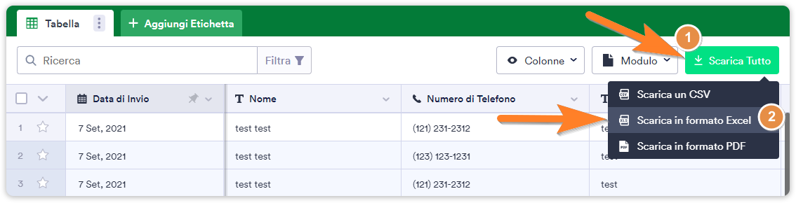 Come Esportare i Dati Dei Tuoi Moduli Su Excel Image-2