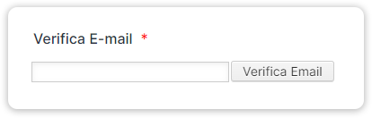 Come Verificare un Indirizzo Email Prima o Dopo l'Invio del Modulo Image-1
