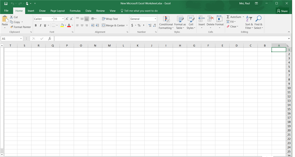 Microsoft Excel