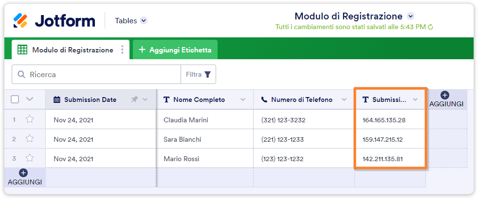 Come Trovare l'Indirizzo IP degli Utenti che Compilano il tuo Modulo Image-3