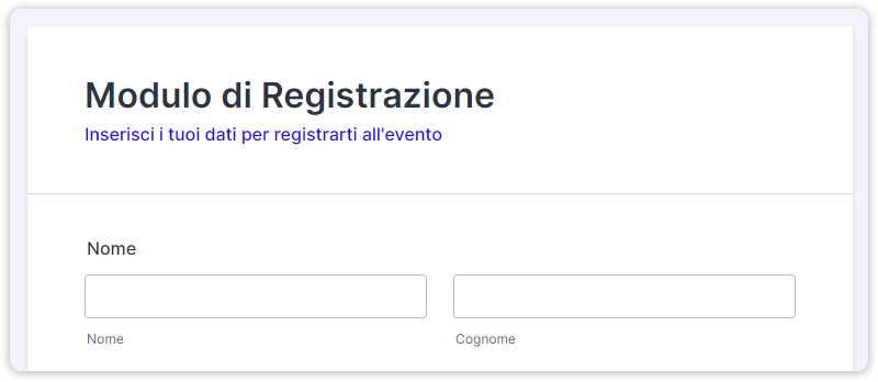 Personalizza il tuo Modulo con Codice CSS Personalizzato Image-2