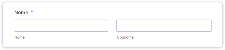 Personalizza il tuo Modulo con Codice CSS Personalizzato Image-5