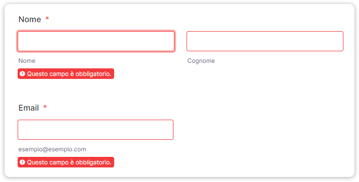Personalizza il tuo Modulo con Codice CSS Personalizzato Image-6