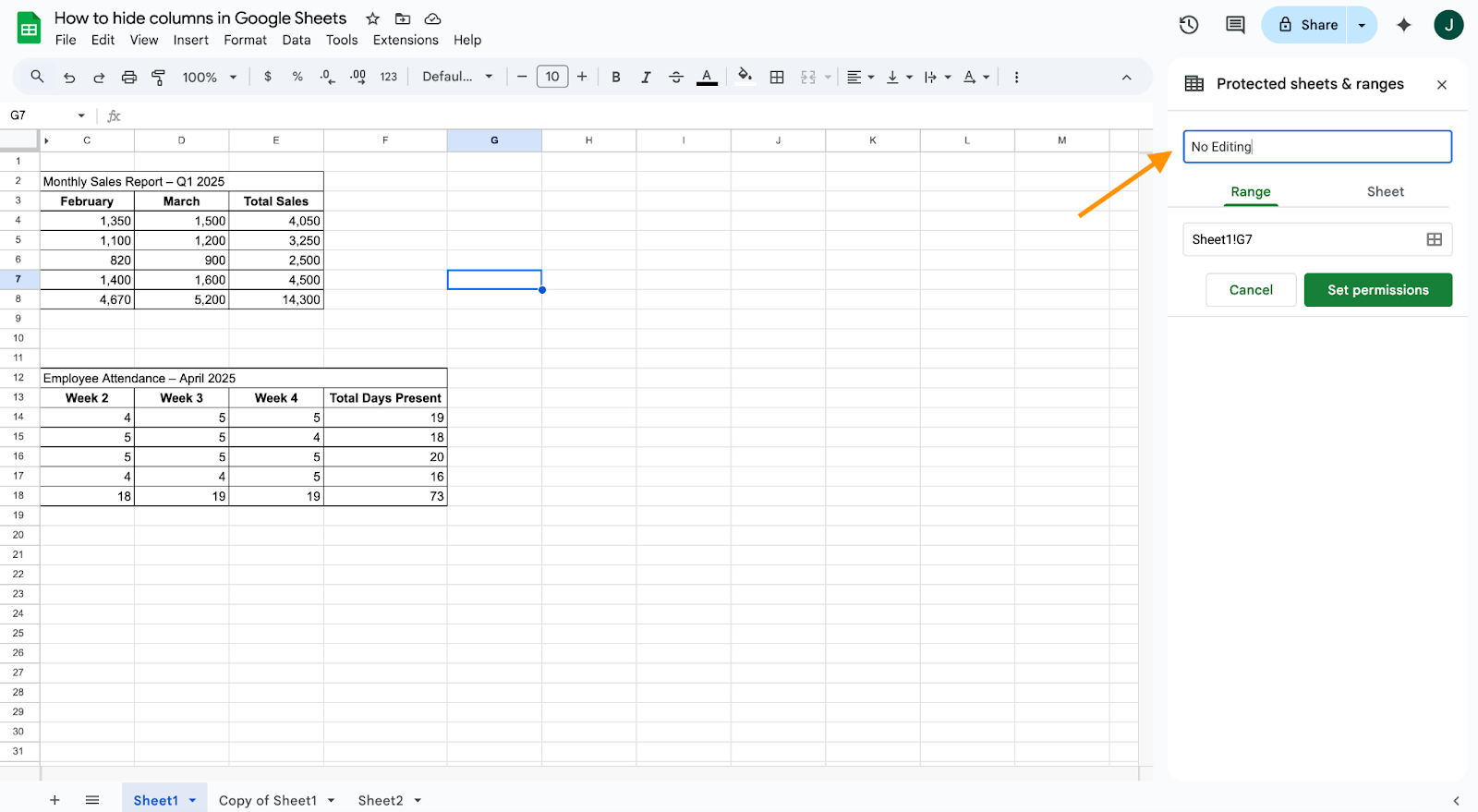 Entering No Editing at the protected Sheets and Ranges pane on Google Sheets