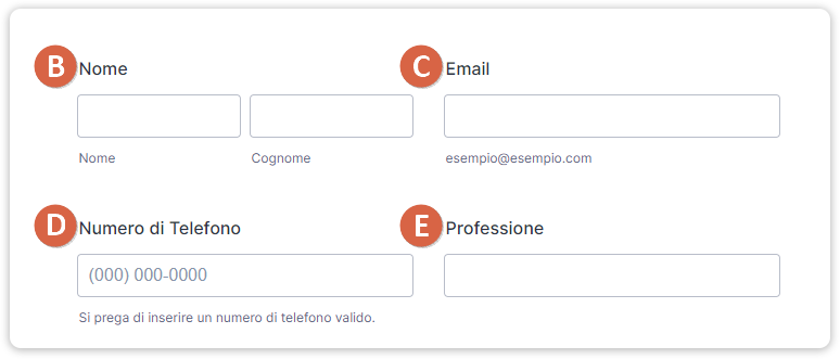 Come utilizzare il widget Da Foglio Elettronico a Modulo Image-1