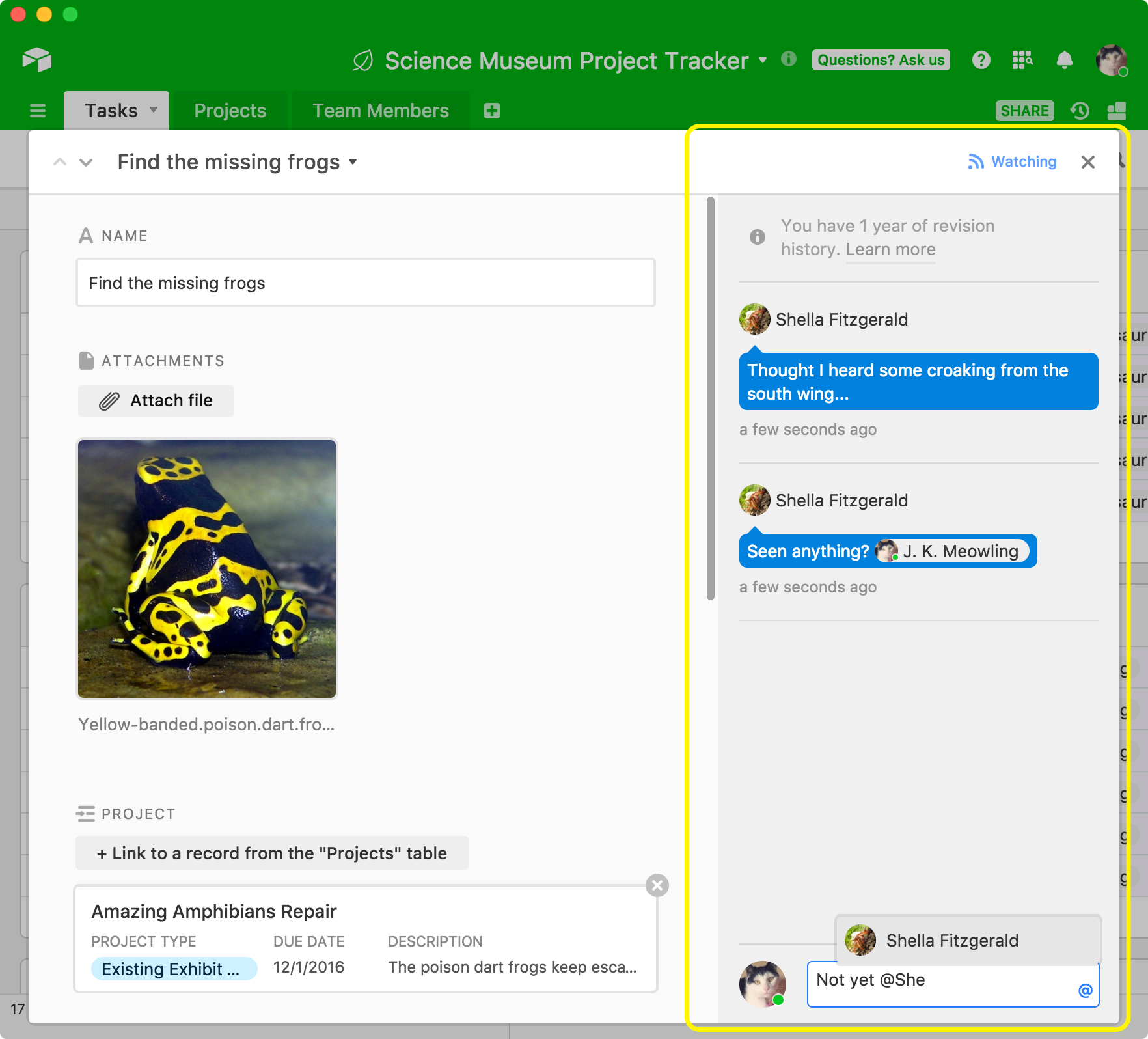 What can you do with Airtable? Image-2