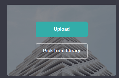 How to embed your Jotform to Carrd Image-5