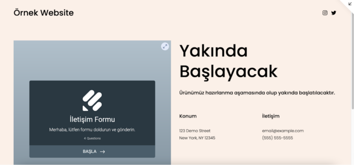 Formu Squarespace’e Eklemek Image-7