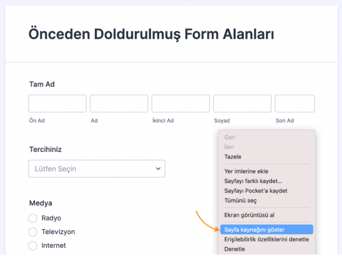 Form Alanlarını URL Parametreleri ile Önceden Doldurmak Image-2