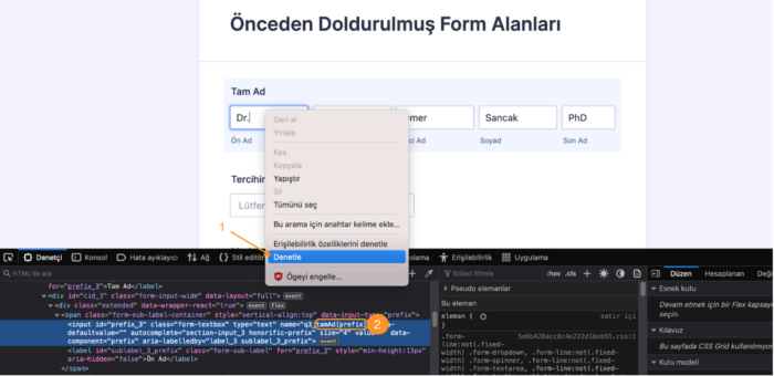 Form Alanlarını URL Parametreleri ile Önceden Doldurmak Image-3