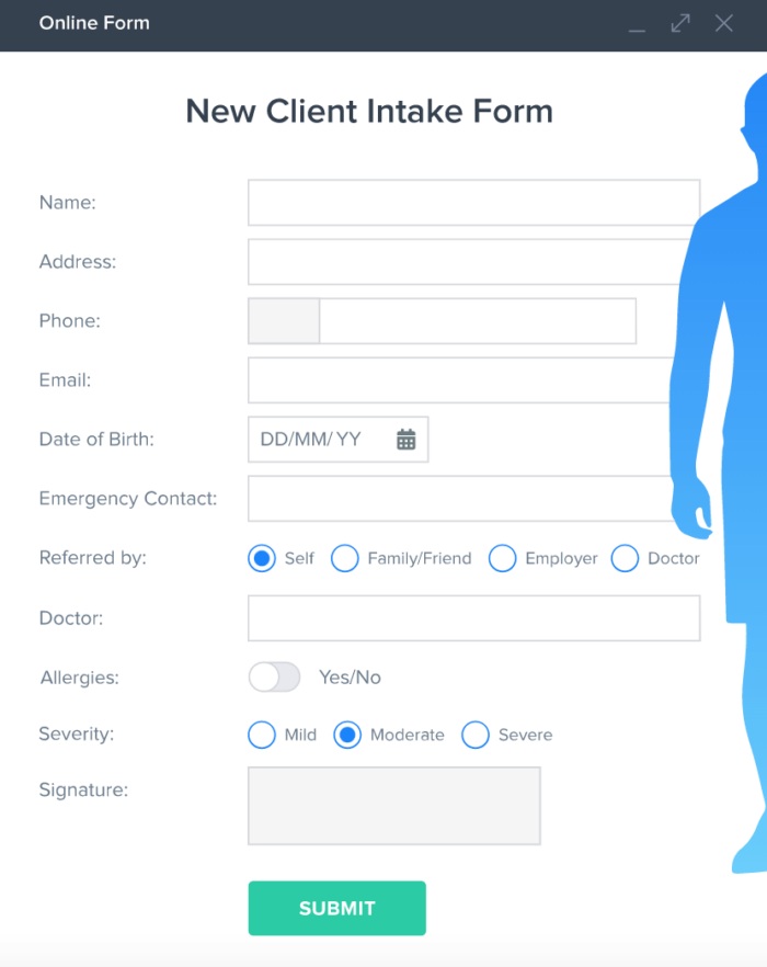 Top 5 intakeQ alternatives for 2026 Image-3