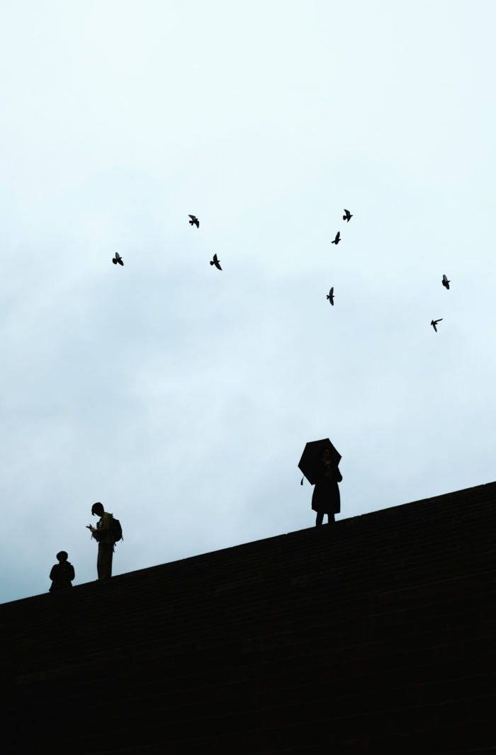 50 High Quality Examples Of Silhouette Photography Image-37