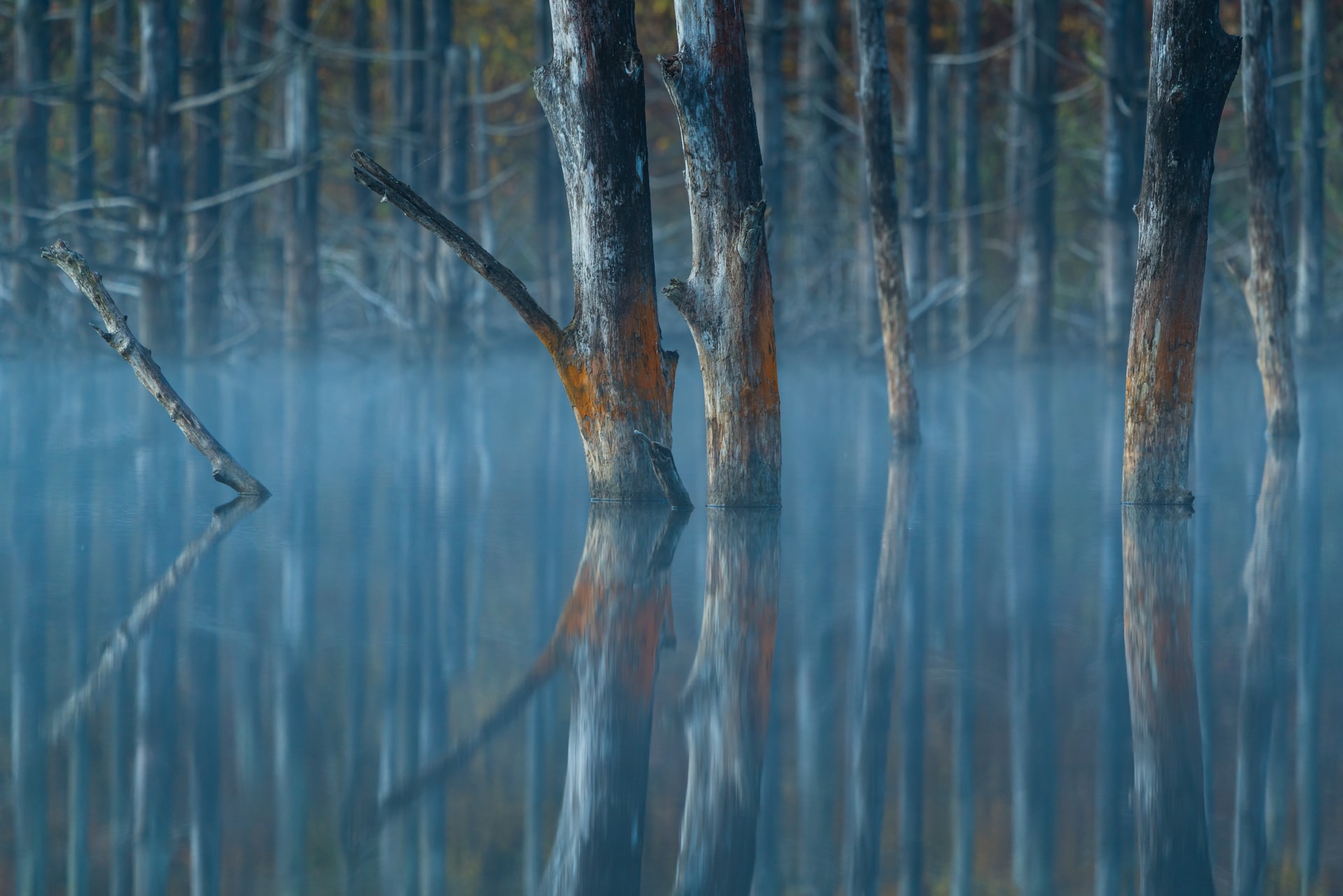 34 Desktop Themes & Wallpapers for Your PC Image-17
