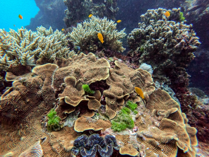 40 Beautiful And Amazing Aquatic Life Photos Image-12