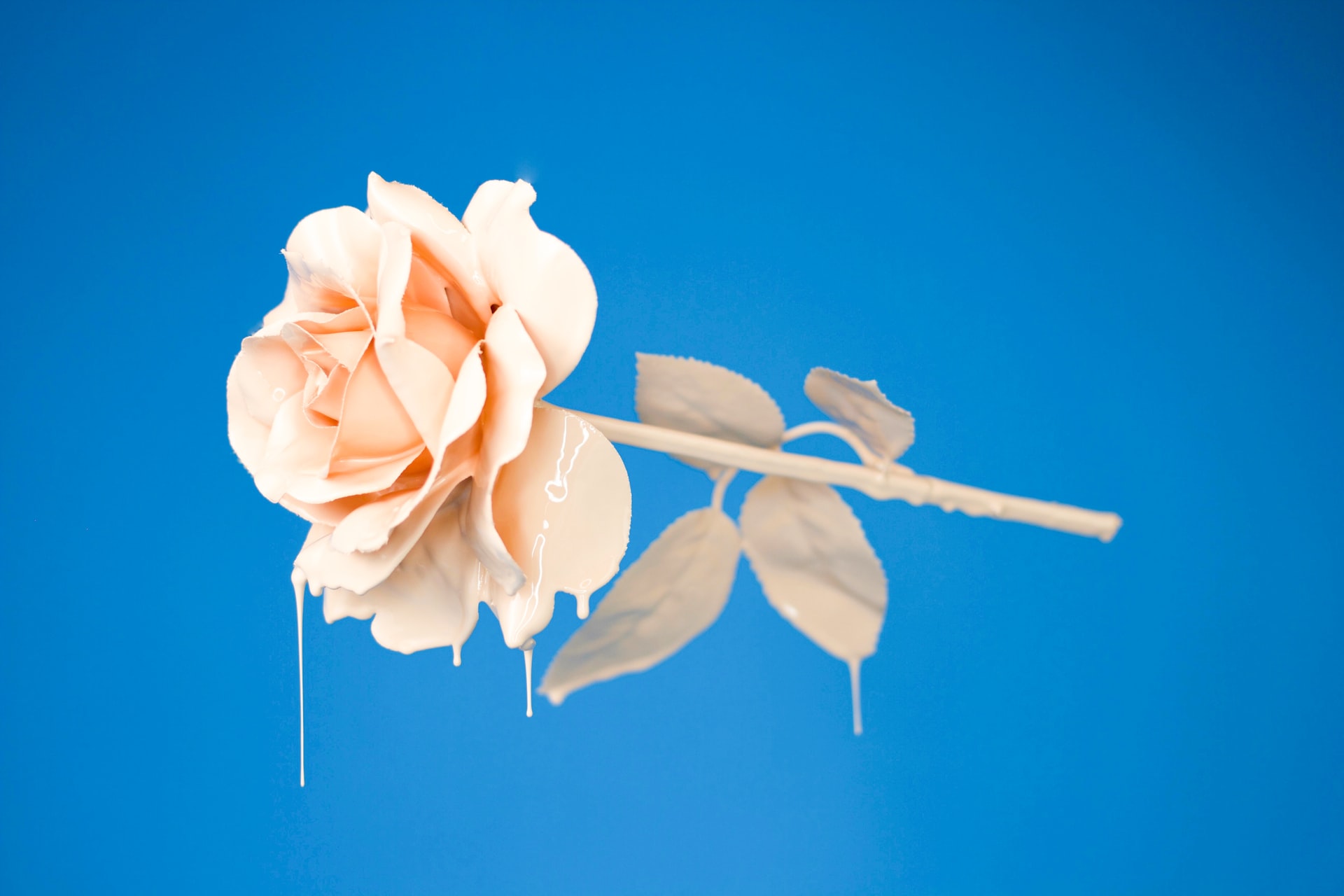 40+ Absolutely Stylish & Creative Hand-picked Wallpapers Image-11