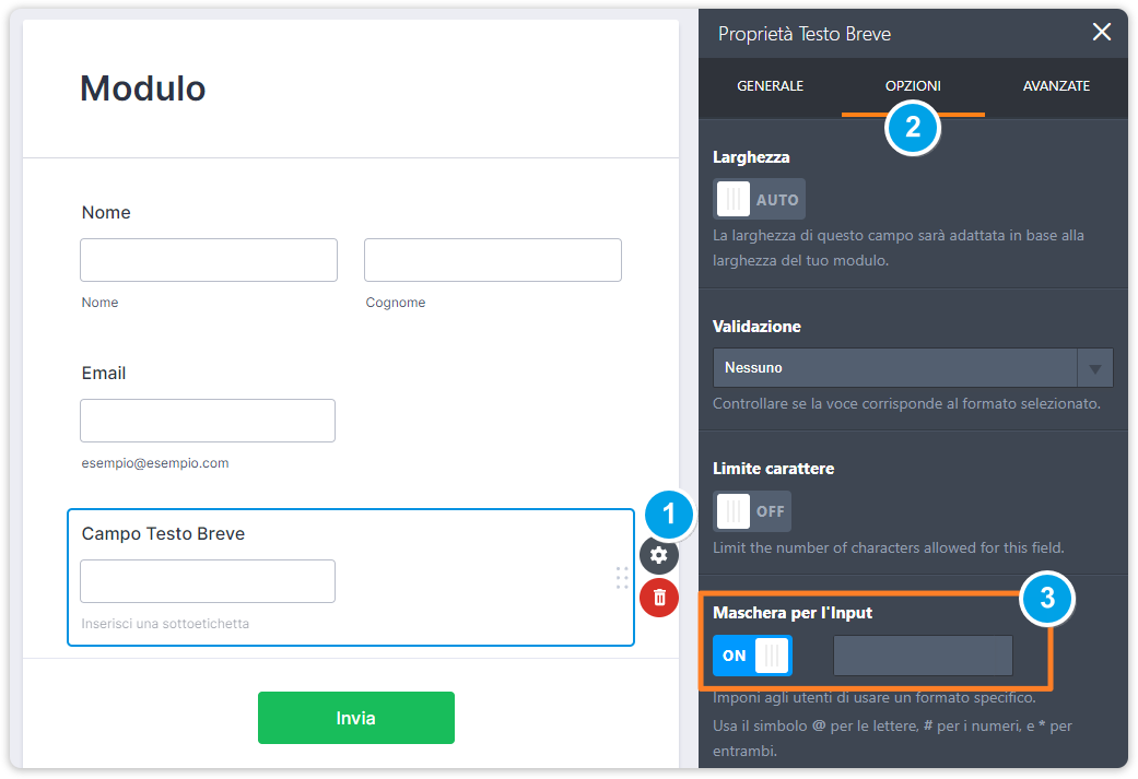 Scopri Come Funzionano le Maschere di Input Image-1
