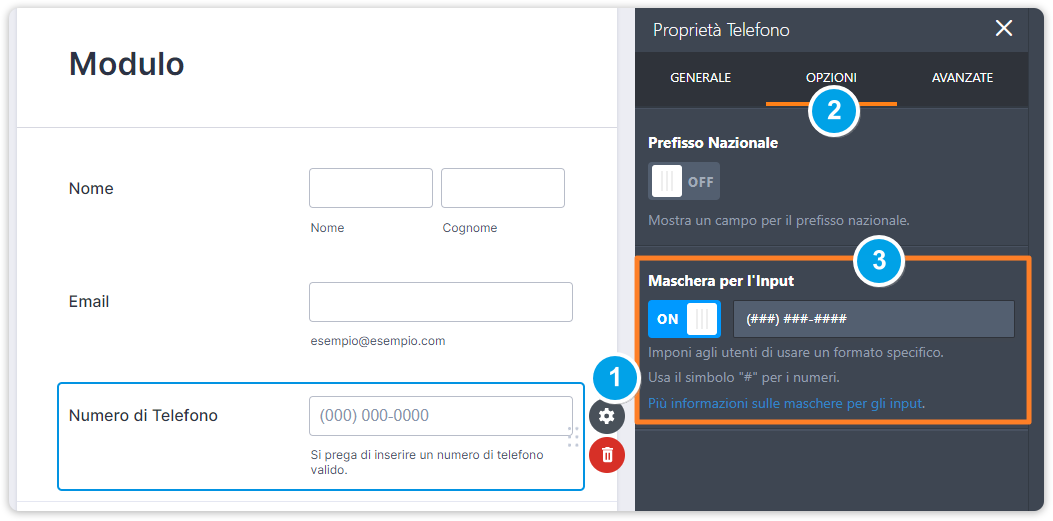 Scopri Come Funzionano le Maschere di Input Image-9