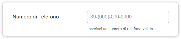 Scopri Come Funzionano le Maschere di Input Image-11