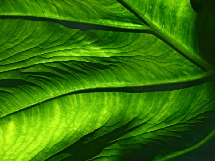 50 Useful and Free Seamless Pattern Sets Image-27