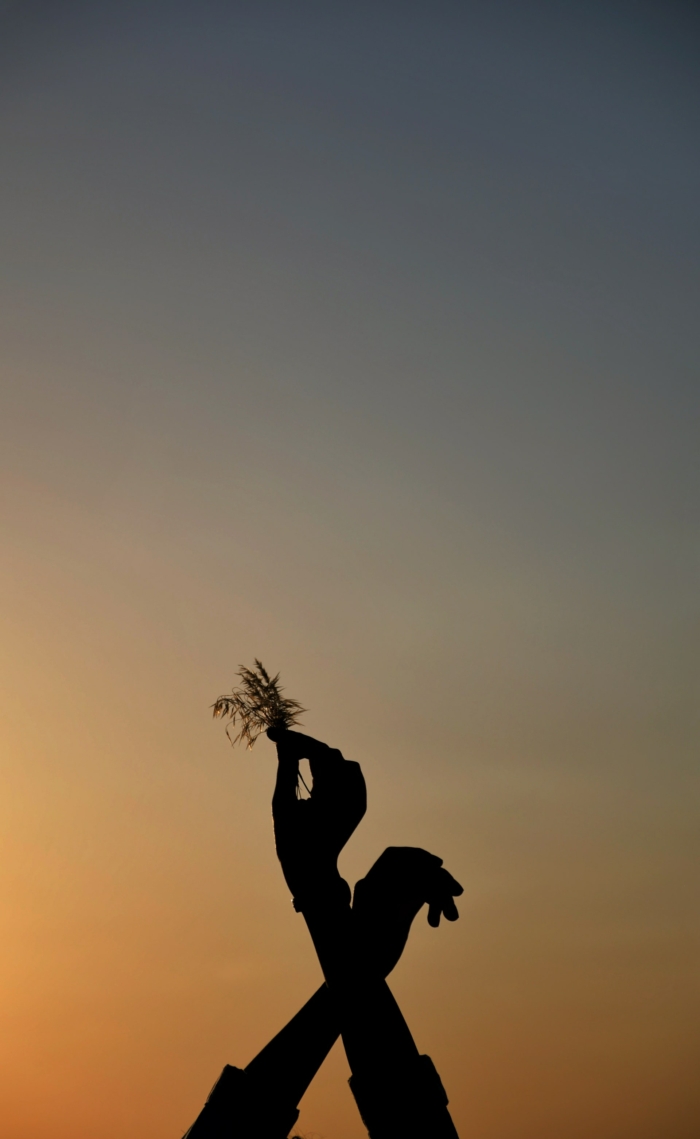 50 High Quality Examples Of Silhouette Photography Image-28