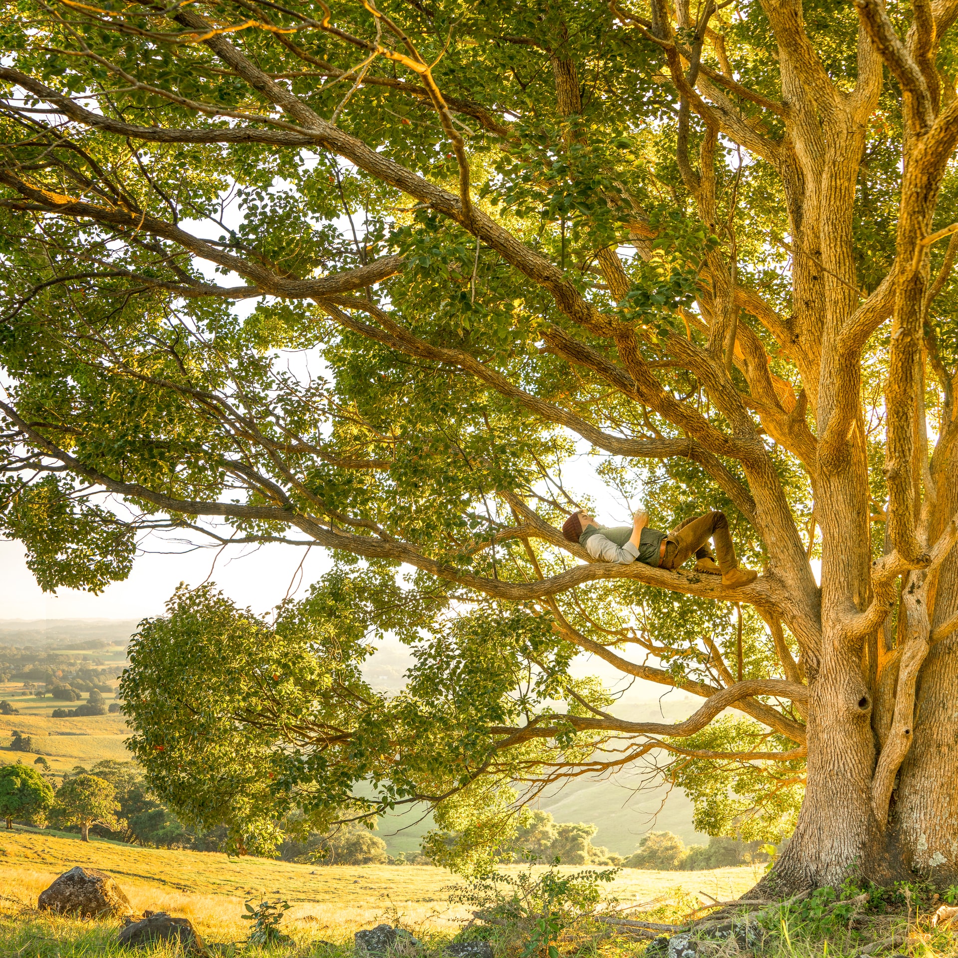 50 Beautiful Examples of Tree Photography Image-42