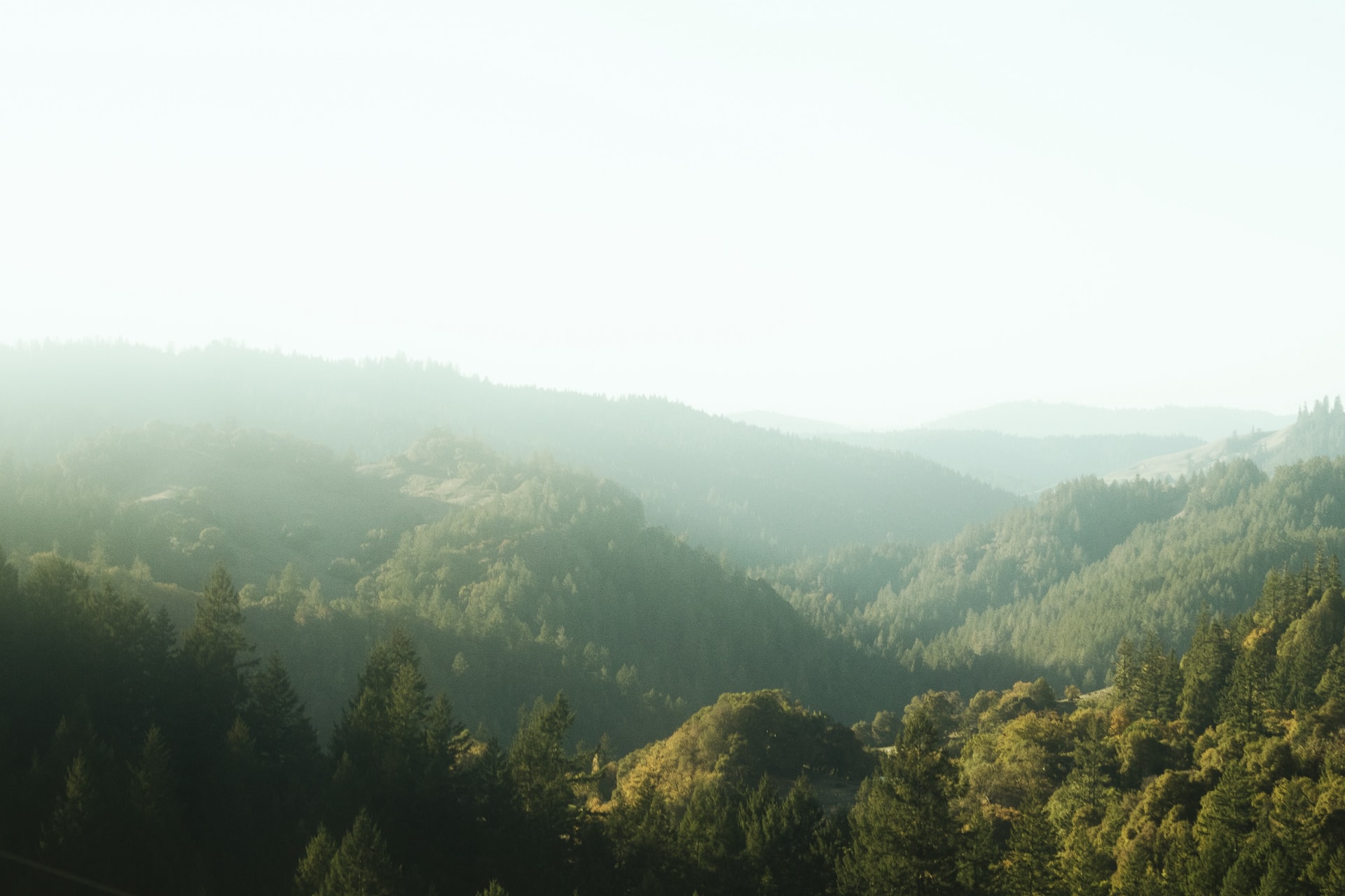 34 Desktop Themes & Wallpapers for Your PC Image-5