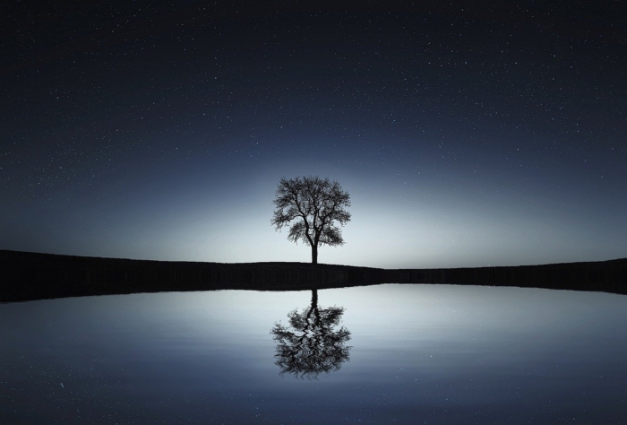 44 Impressive Examples of Reflection Photography Image-30