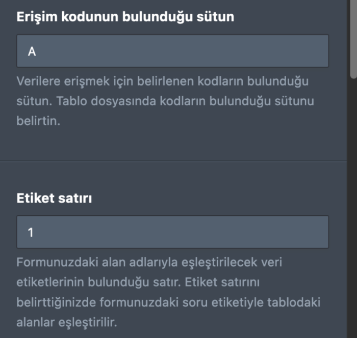 Tablodan Forma Widget’ı Nasıl Kullanılır Image-4