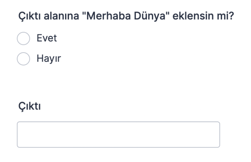 Koşullu Mantık Kullanarak Bir Alana Metin veya Hesaplama Nasıl Eklenir Image-7