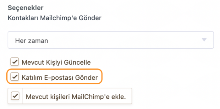 Mailchimp Entegrasyonu Nasıl Yapılır? Image-6