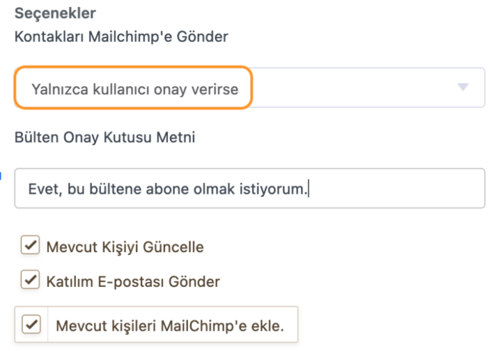 Mailchimp Entegrasyonu Nasıl Yapılır? Image-7
