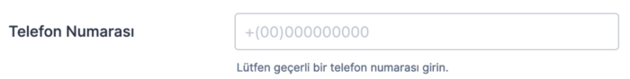 Giriş Maskesi’nin Temelleri ile Başlarken Image-12