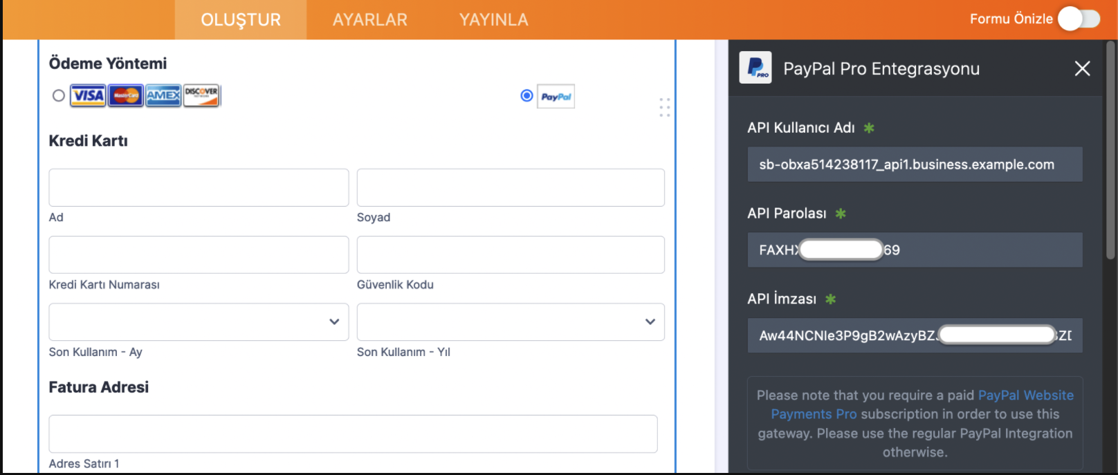 PayPal Ödeme Formu Nasıl Test Edilir Image-4