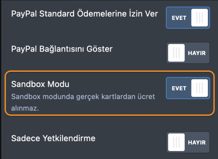PayPal Ödeme Formu Nasıl Test Edilir Image-5
