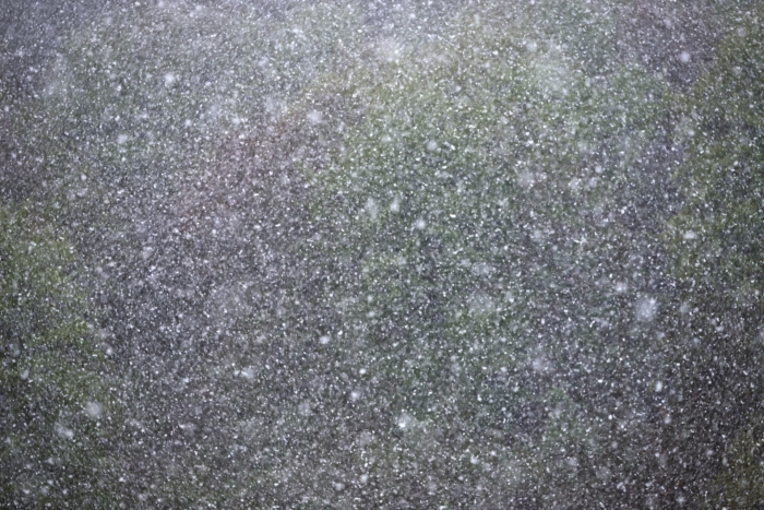 The Big Collection Of Free Background Textures Image-33