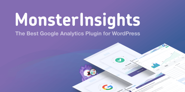 User Interface of MonsterInsights