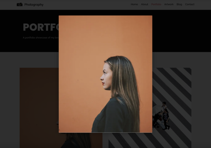The 5 best WordPress themes for photographers in 2026 Image-3