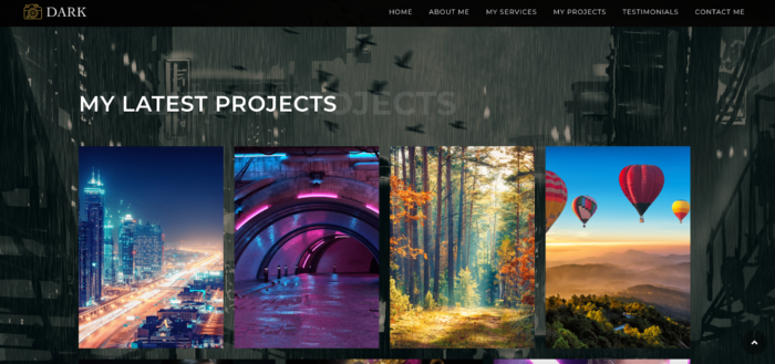 The 5 best WordPress themes for photographers in 2026 Image-8
