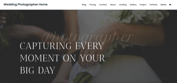 The 5 best WordPress themes for photographers in 2026 Image-9