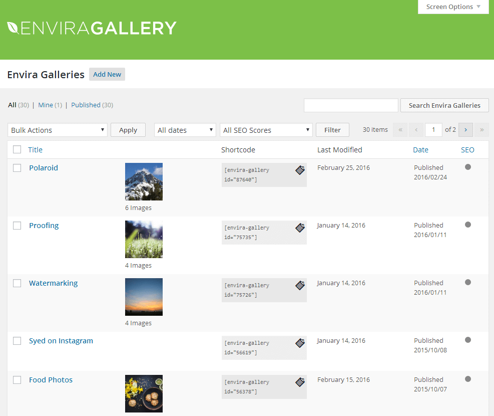 User Interface of Envira Gallery