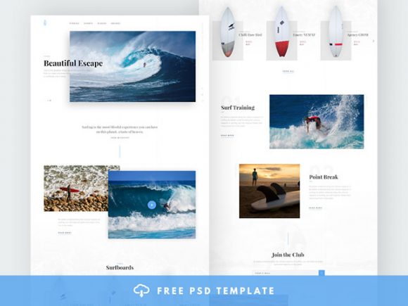 Blog and E-commerce PSD Template for Surfers