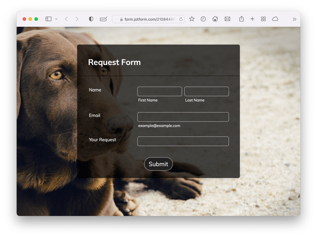 Pet Lover Theme