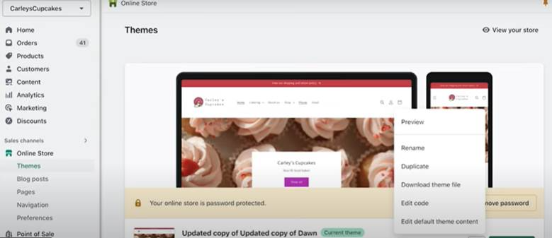 Shopify Store Settings Themes Tab