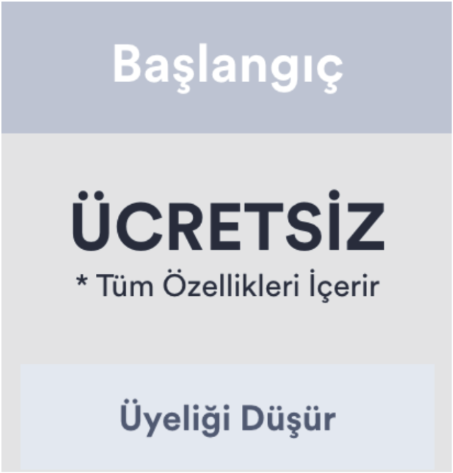 Abonelik Nasıl İptal Edilir ve Ücretsiz Plana Nasıl Düşürülür Image-3