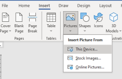 Microsoft Word Pictures This Device