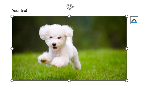 Microsoft Word Image Placement