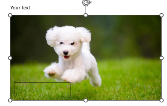 Microsoft Word Shape Placement