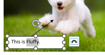 Microsoft Word Edit Text in Image