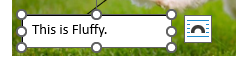 Microsoft Word Text Box Placement