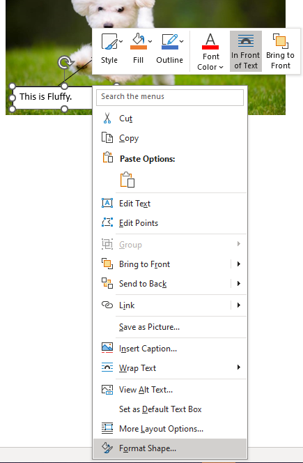 Microsoft Word Format Shape